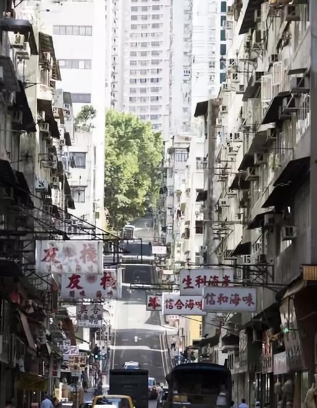 微信圖片_20190419143833.jpg
